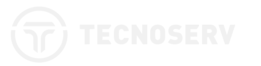 Logo Tecnoserv